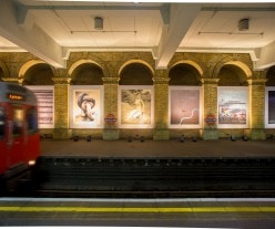 View of Gloucester Road station with installed artworks.