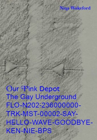 Our Pink Depot The Gay Underground FLO-N202-236000000- TRK-MST-00002-SAY- HELLO-WAVE-GOODBYE- KEN-NIE-BPS