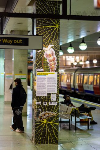Posters for Monster Chetwynd, 'Pond Life: Albertopolis and the Lily' on view at Gloucester Road station. Photo: Benedict Johnson  