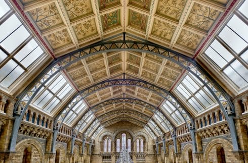 Hintze Hall, Natural History Museum 