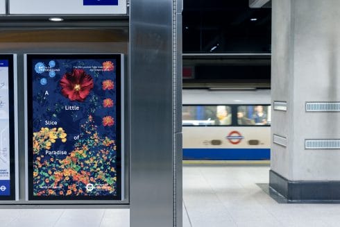 Joy Gregory, 'A Little Slice of Paradise', 2023. Photo: Benedict Johnson 